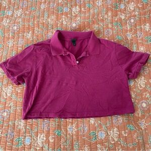 Women's Wild Fable Pink Polo Crop Top